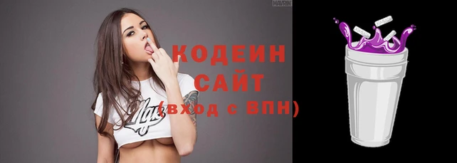 гашик Корсаков