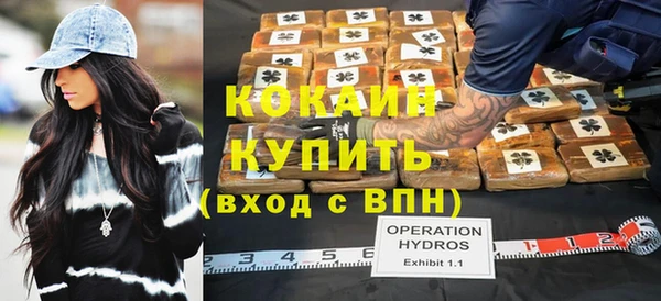 гашик Корсаков