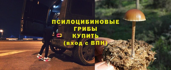 дживик Козловка