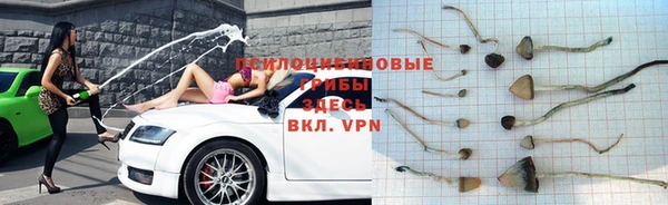 дживик Козловка